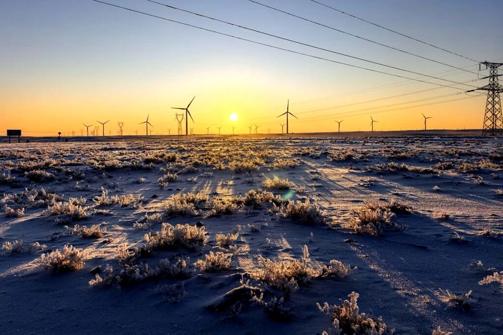 1773022960412696.jpg 微信圖片_2026-03-09_102132_317.jpg